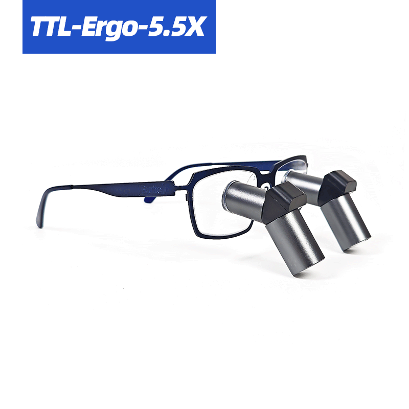 TTL-Ergo-5.5X